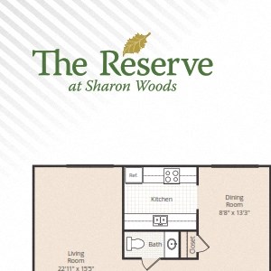 The Sycamore